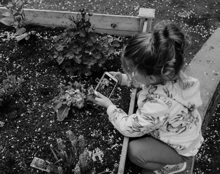 Small child gardening